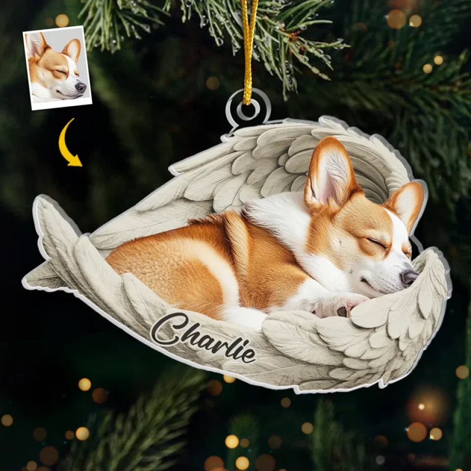 No Greater Companion, No Better Friend: A Meaningful Way to Remember Your Beloved Pet