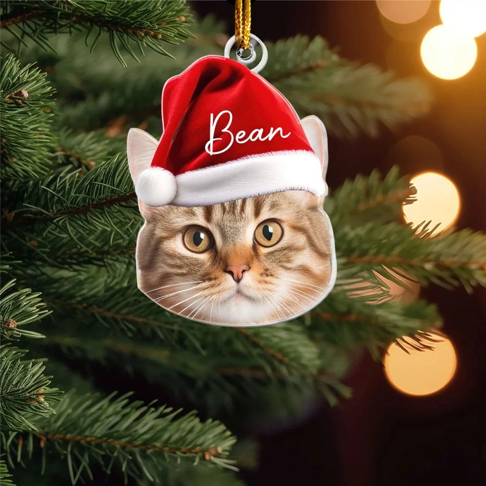 Turn Your Pet’s Funny Faces into Personalized Photo Ornaments