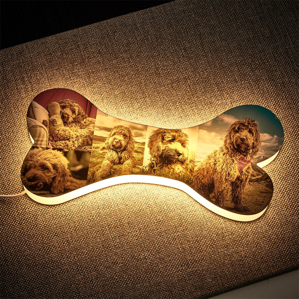 personalized design loss of dog gift memorial gift keepsake gift main view