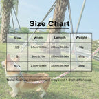 Custom Dog Collar Leash Set with Engraved