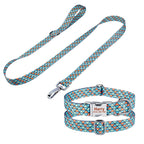 Custom Dog Collar Leash Set with Engraved