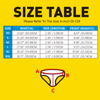 Custom Photo Underwear Bird of Paradise Women's Boxer Creative Gift for Her