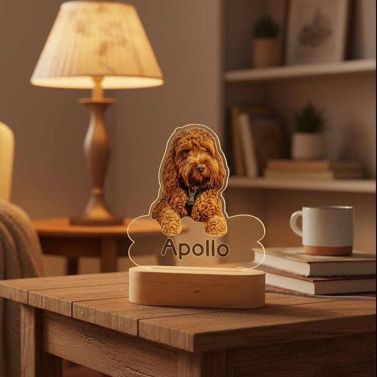 Personalized Pet Shaped LED Night Light Custom Dog Name Table Lamp