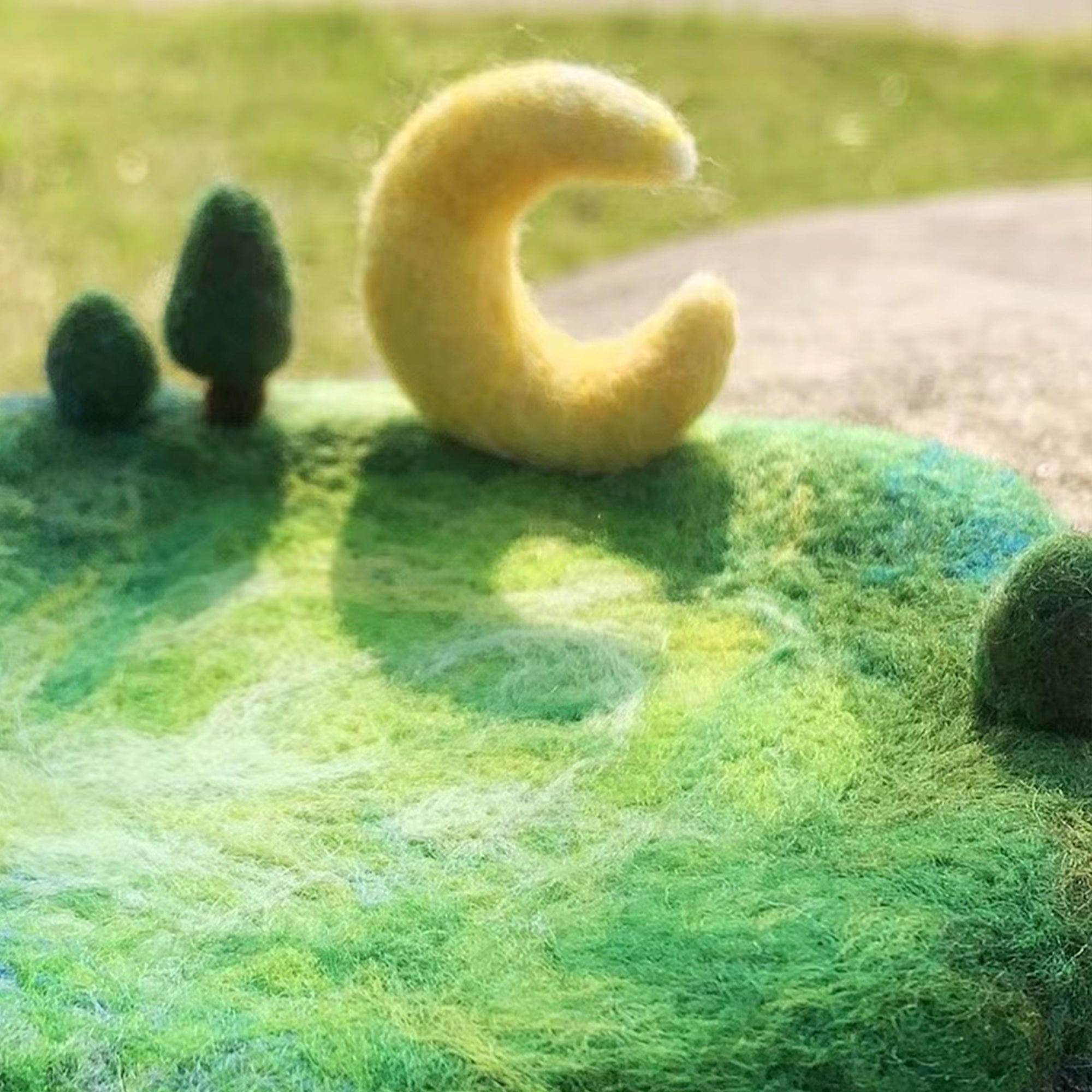 Stylish Felt Tray Decoration for Home Decoration Elegant Display