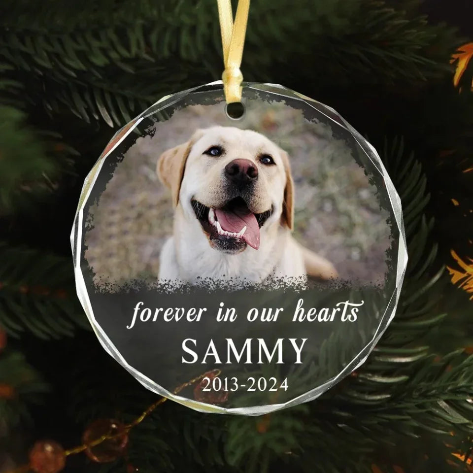 Personalized Photo and Name Glass Ornament Sympathy Gift for Loss of Dog