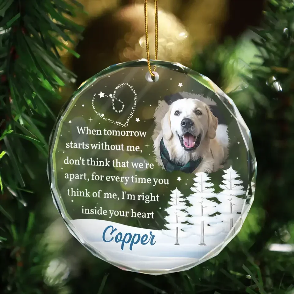Glass Ornament Personalized Photo Sympathy Gift for Loss of Dog