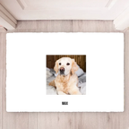 226365b6-b23c-487f-a90c-381e7321165e 副本