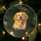 Acrylic Ornament Sympathy Gift for Loss of Dog Hanging Keepsake