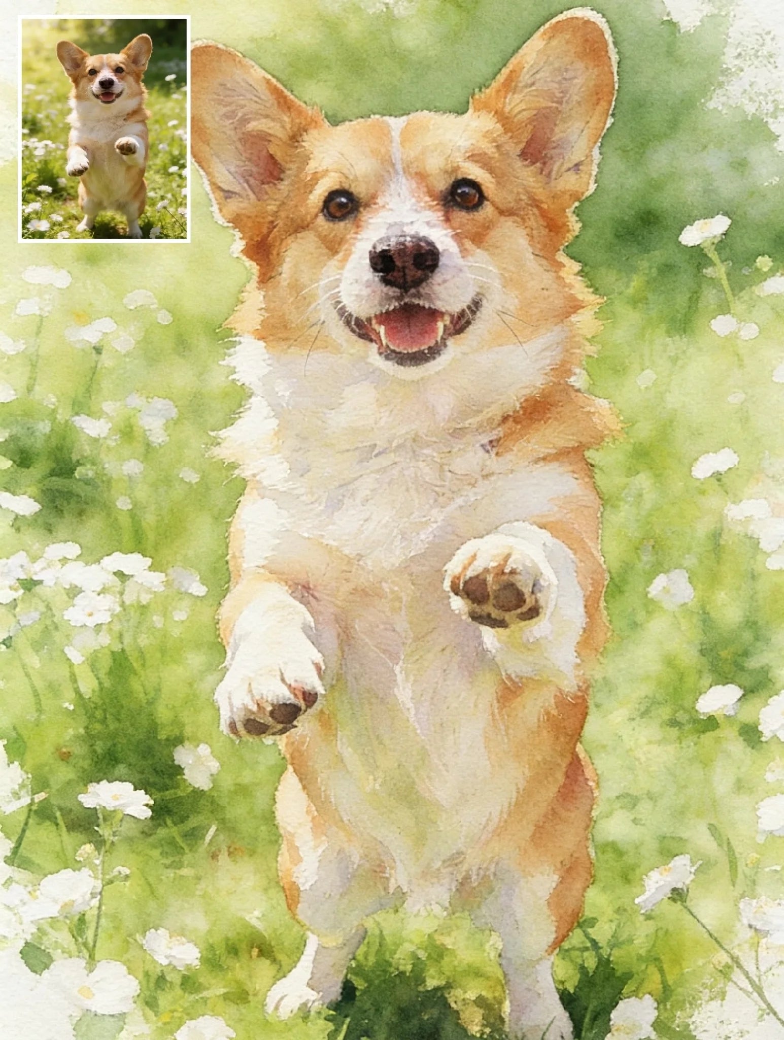 il_794xN.5689183932_23e6 拷贝