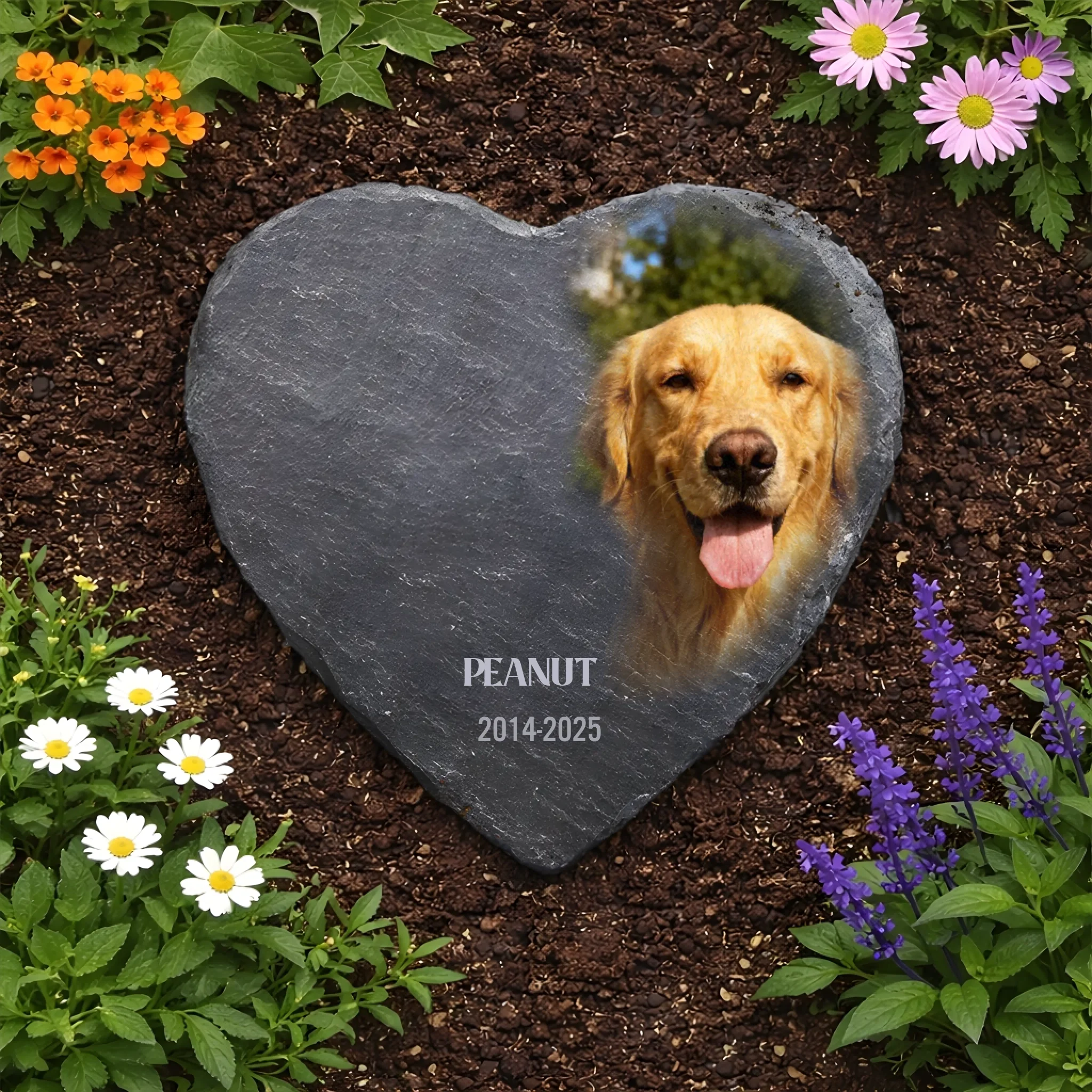 ChatGPT Image 2026年2月9日 09_49_48