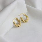 Small Twist Hoop Earrings