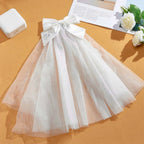 Personalized Bridal Veil Bow Clip Gift for Bride