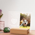 Their Light Still Shines Personalized Design Comfort Sympathy Gift for Loss of Dog