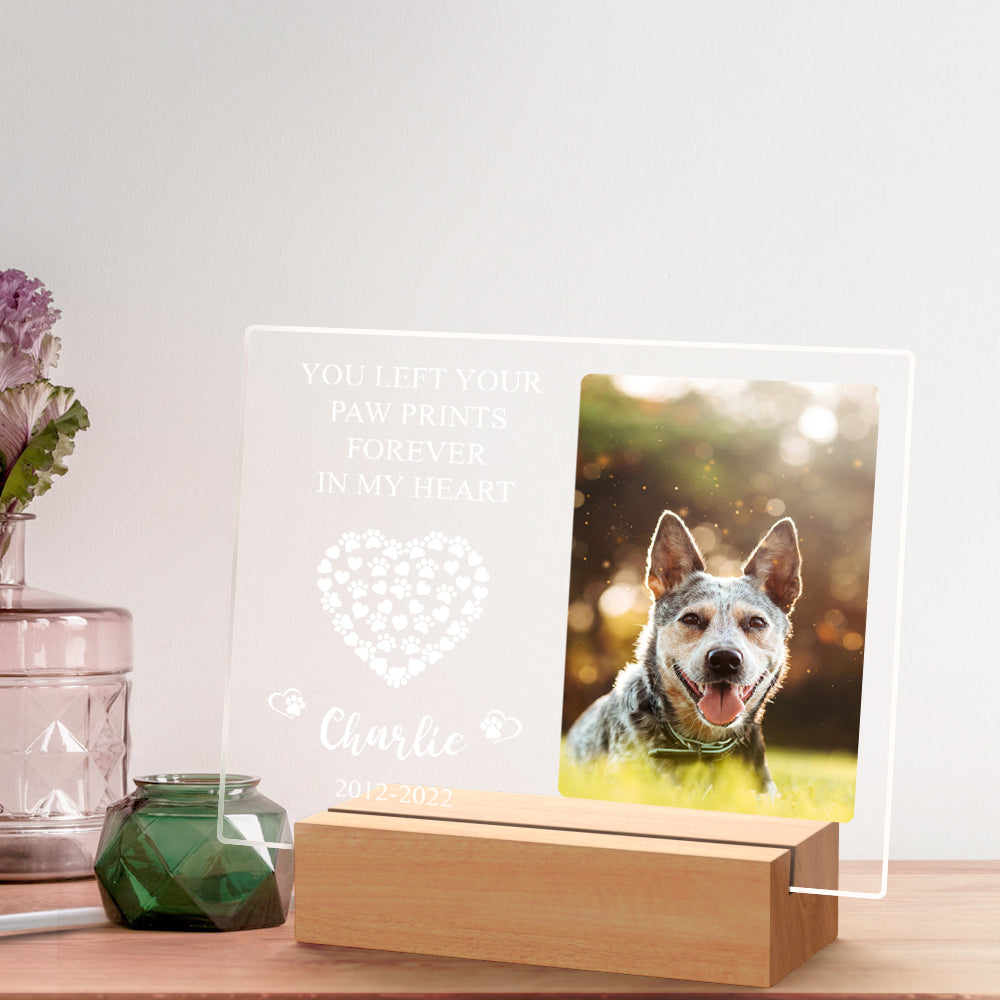 Their Light Still Shines Personalized Design Comfort Sympathy Gift for Loss of Dog