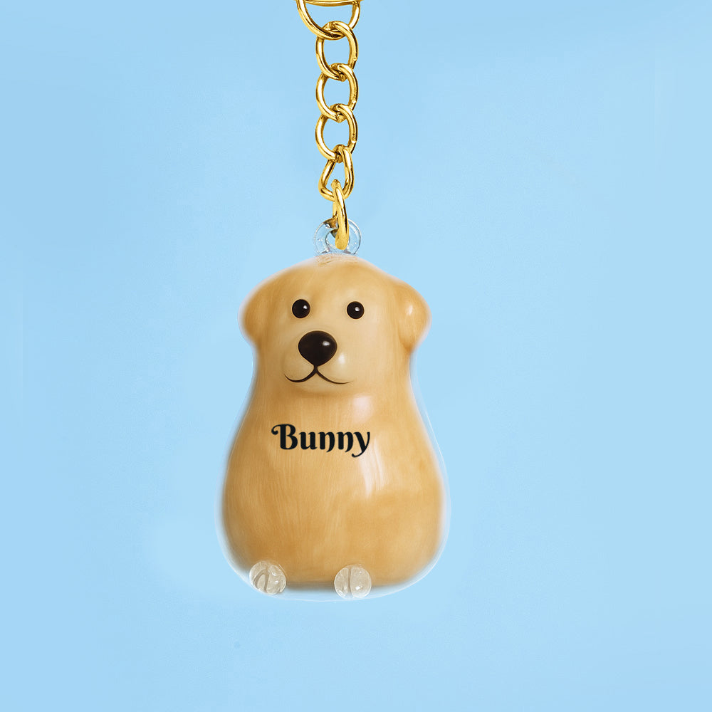 Custom Name Dog Hair Collector Keychain Bag Charm Memorial Storage Box with Text Perfect for Storing Pet Hair Gift for Dog Lovers