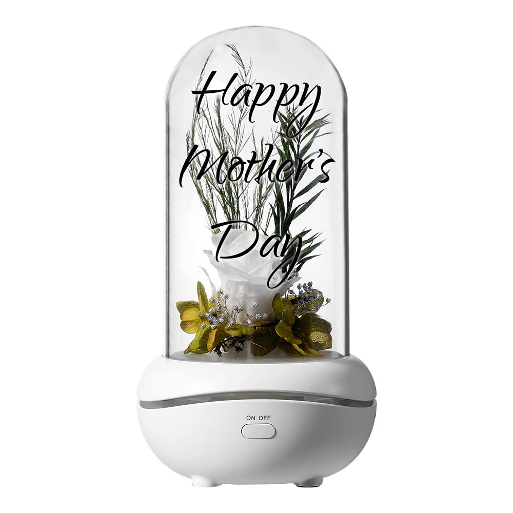 Custom Eternal Flower Aromatherapy Lamp Essential Oil Colorful Night Light