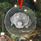 Personalized Photo and Name Ornament Memorial Tree Keepsake