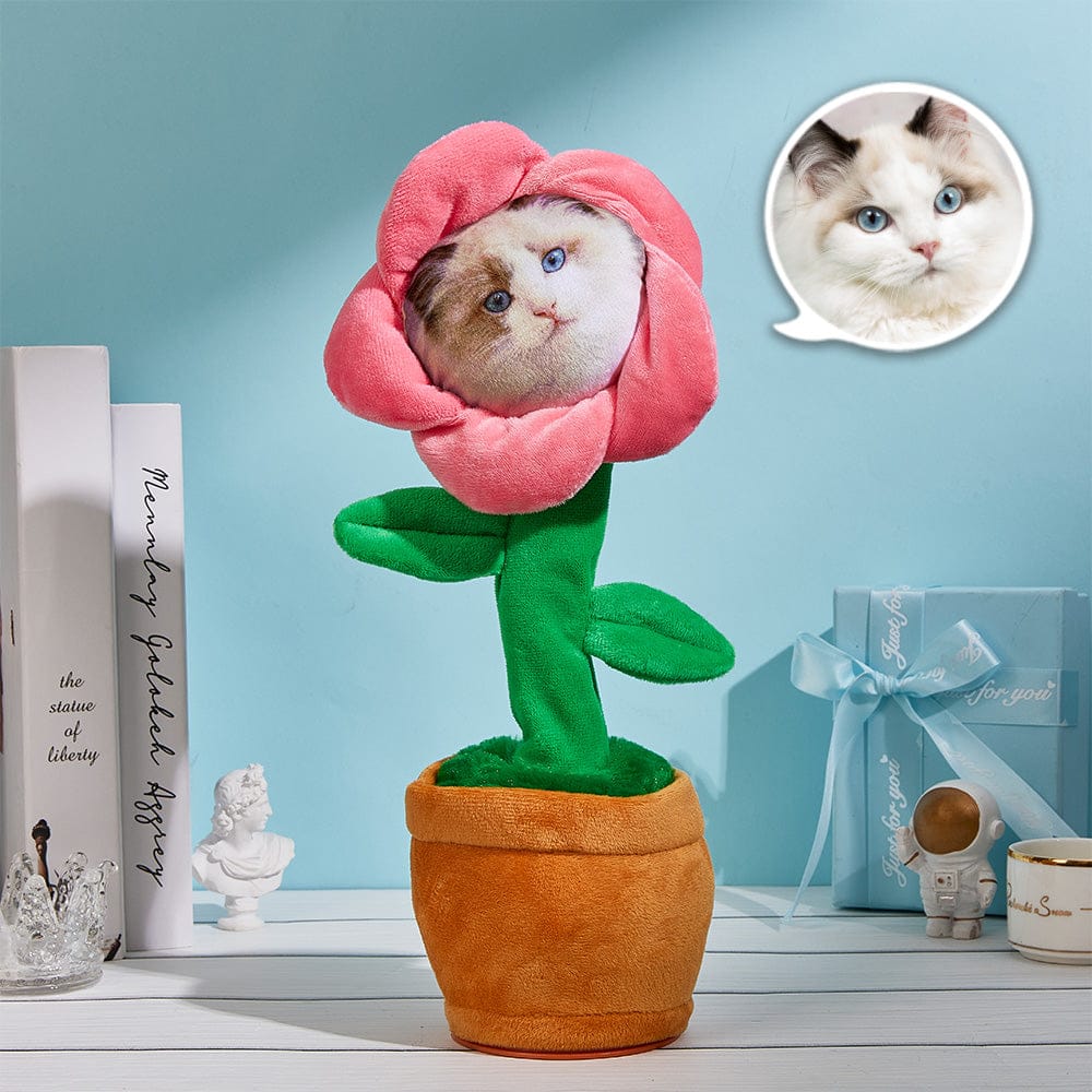 Custom Photo Dancing Plant Recording Music Toy Flower Singing Sunflower