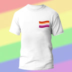 Personalized Gay Pride T-Shirt LGBTQ Rainbow Flag Shirt Gift for Pride Month