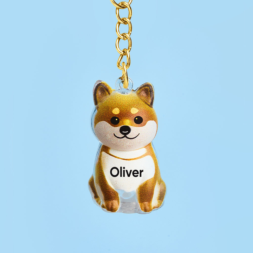 Custom Name Dog Hair Collector Keychain Bag Charm Memorial Storage Box with Text Perfect for Storing Pet Hair Gift for Dog Lovers