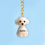 Custom Name Dog Hair Collector Keychain Bag Charm Memorial Storage Box with Text Perfect for Storing Pet Hair Gift for Dog Lovers