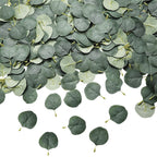 100PCS Eucalyptus Petals for Weddings Aisles Flower Girls and Romantic Evenings