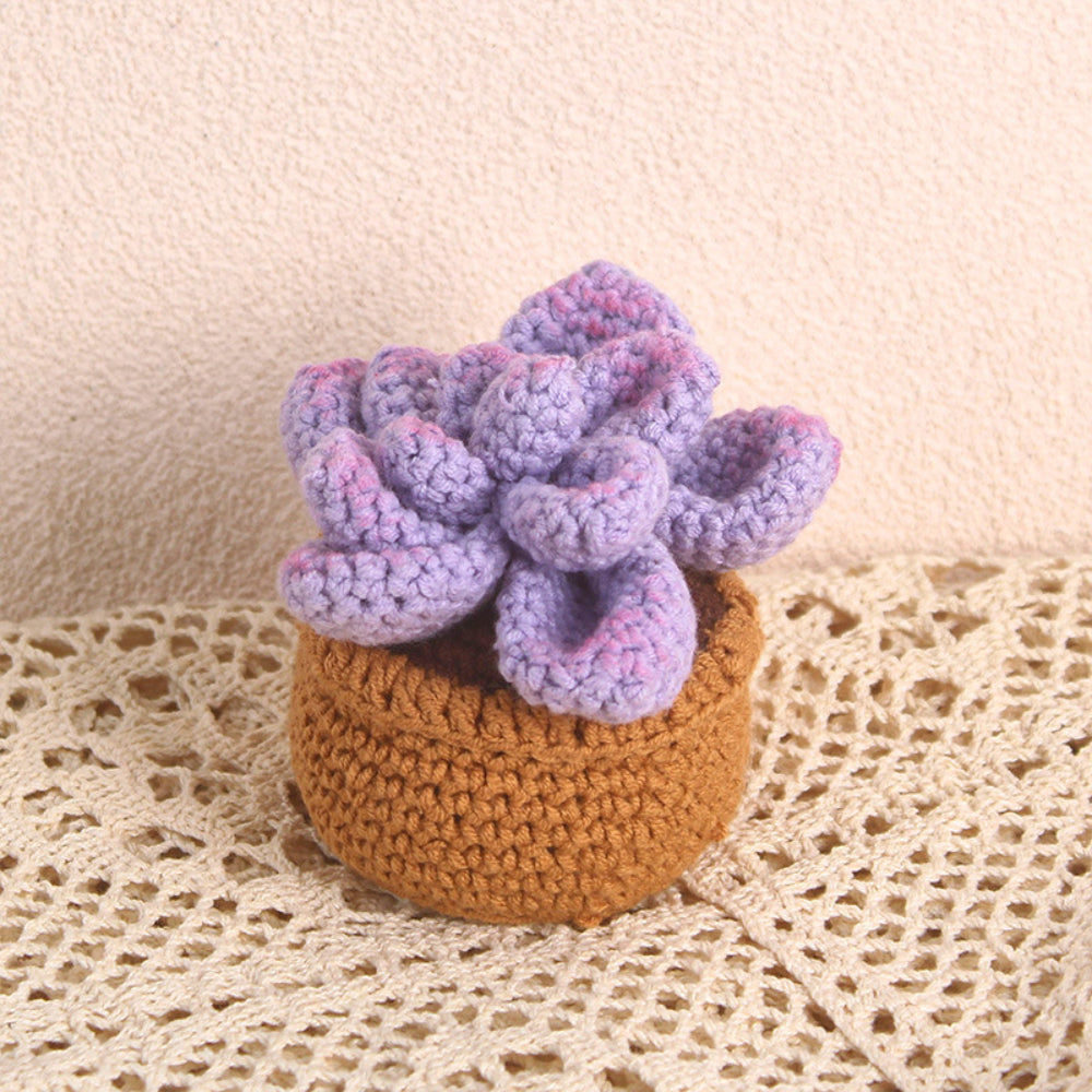 Succulent Crochet Potted Plants Completed Hand Woven Knitted Potted Plants Gift for Handicraft Lover