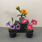 Pipe Cleaner Potted Plant Handmade Twist Stick Flowers Gift for Her or Him