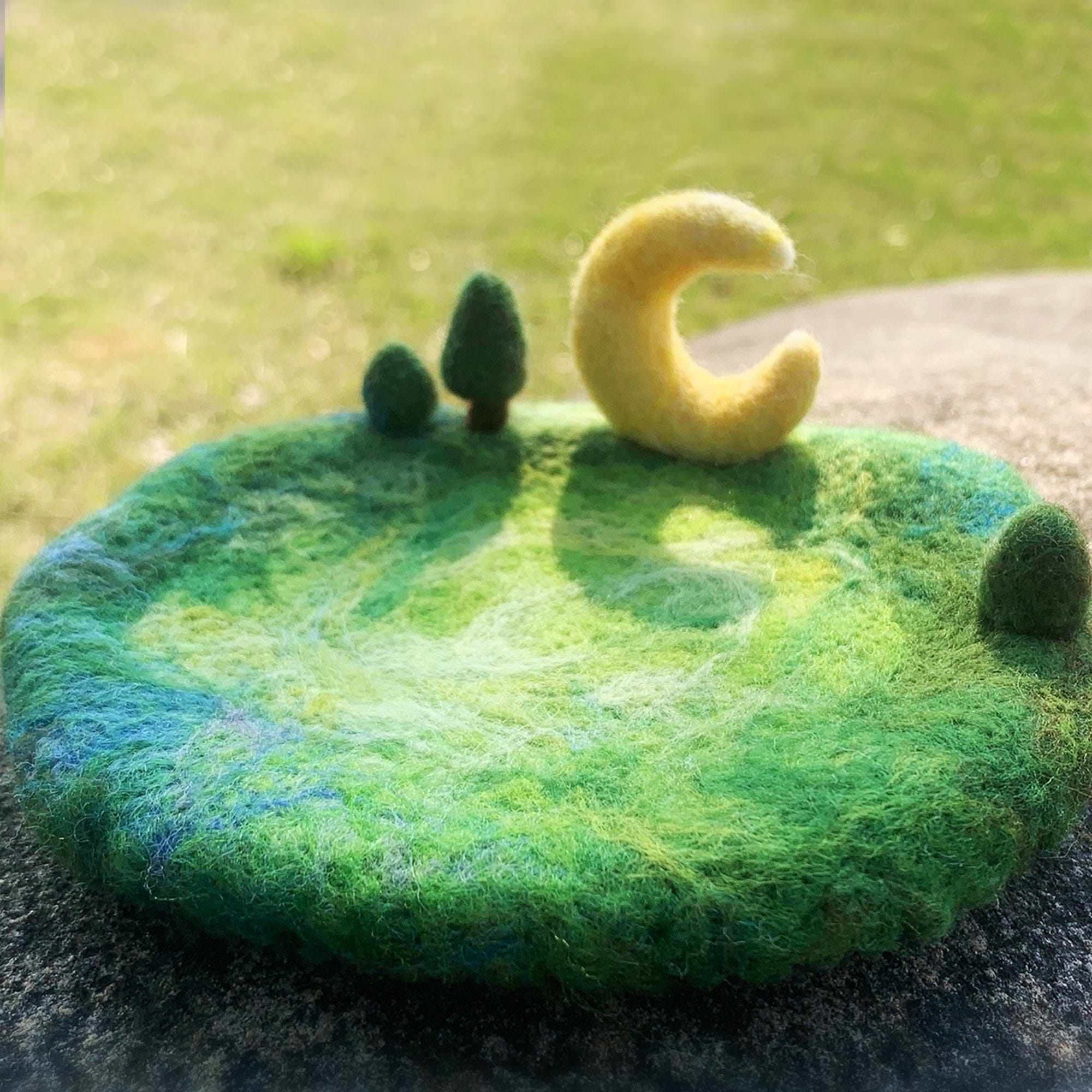 Stylish Felt Tray Decoration for Home Decoration Elegant Display