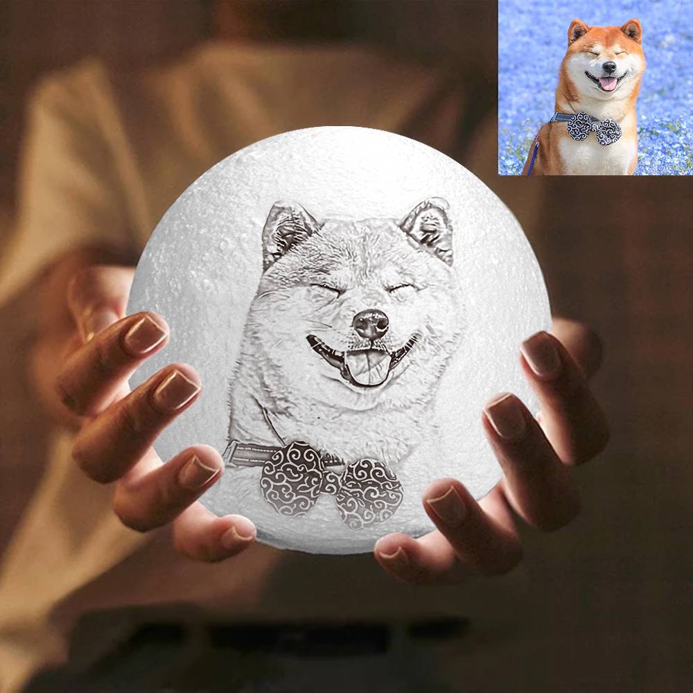 Photo Moon Lamp, Custom 3D Photo Light, Cute Pet - Remote Control Sixteen Colors 10-20cm