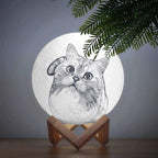 Photo Moon Lamp, Custom 3D Photo Light, Cute Pet - Remote Control Sixteen Colors 10-20cm