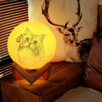 Photo Moon Lamp, Custom 3D Photo Light, Cute Pet - Remote Control Sixteen Colors 10-20cm