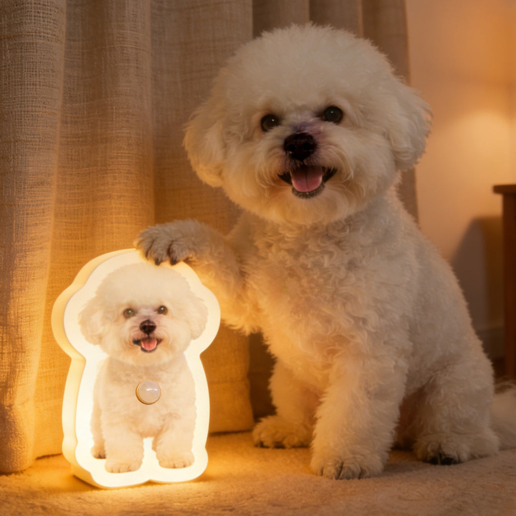 Motion Sensor Wall Lamp Personalized Pet Portrait for Home Display No
