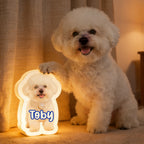 Yes Motion Sensor Wall Lamp for Home Display Warm Glow