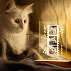 cat memorial photo lamp personalized cat portrait bedroom