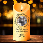 pet loss sympathy led candle