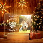 Their Light Still Shines Comfort Sympathy Gift for Loss of Dog Night Light