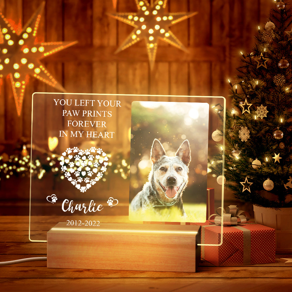 Their Light Still Shines Comfort Sympathy Gift for Loss of Dog Night Light