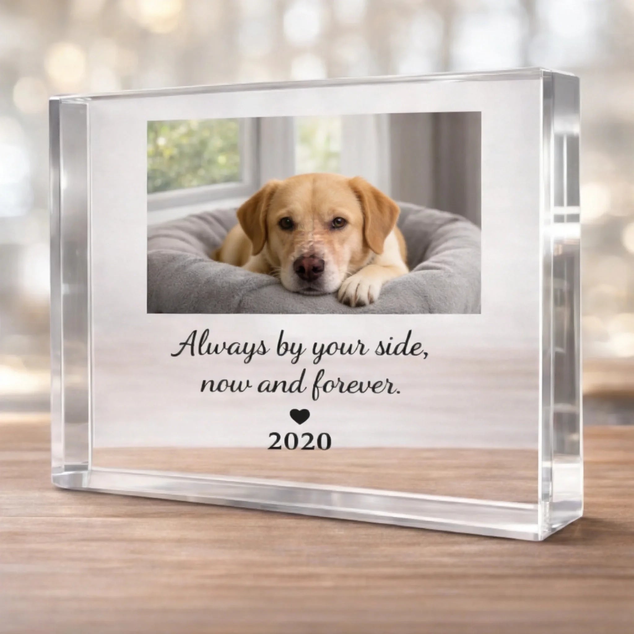 now and forever Personalized Dog Memorial Photo Plaque Loss of Dog Gift for Desk or Shelf
