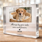 Acrylic now and forever Personalized Dog Memorial Photo Plaque Crystal Clear 3D Keepsake