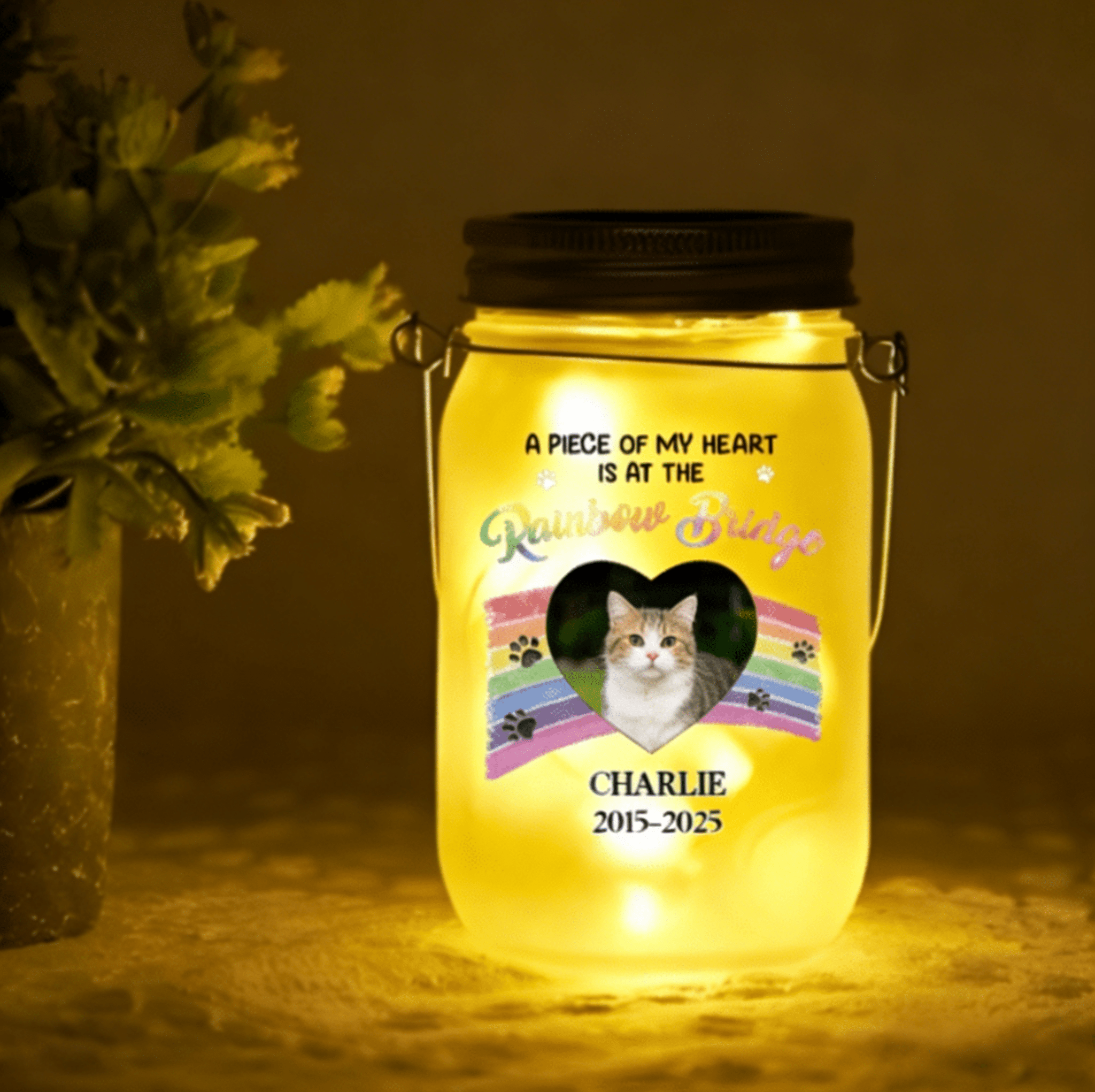 personalized memorial mason jar light for cat