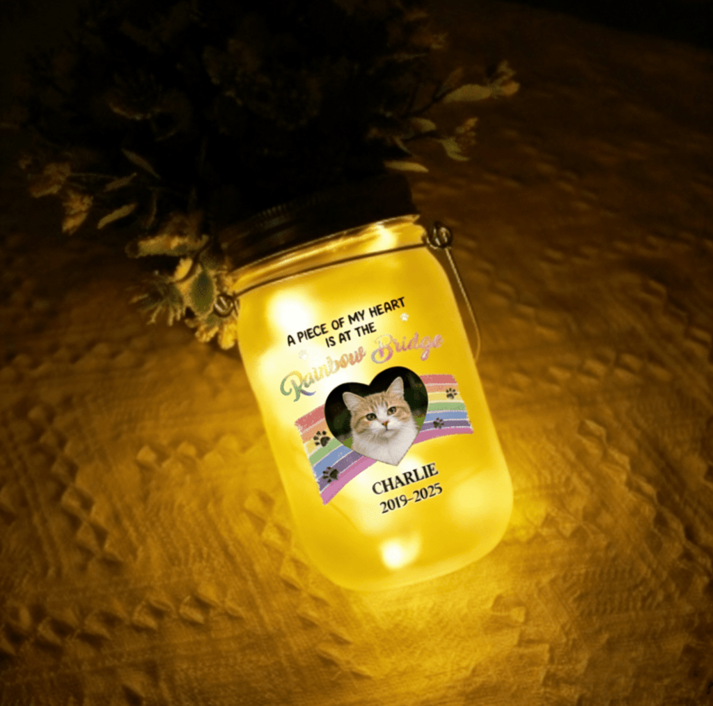 cat memorial mason jar light