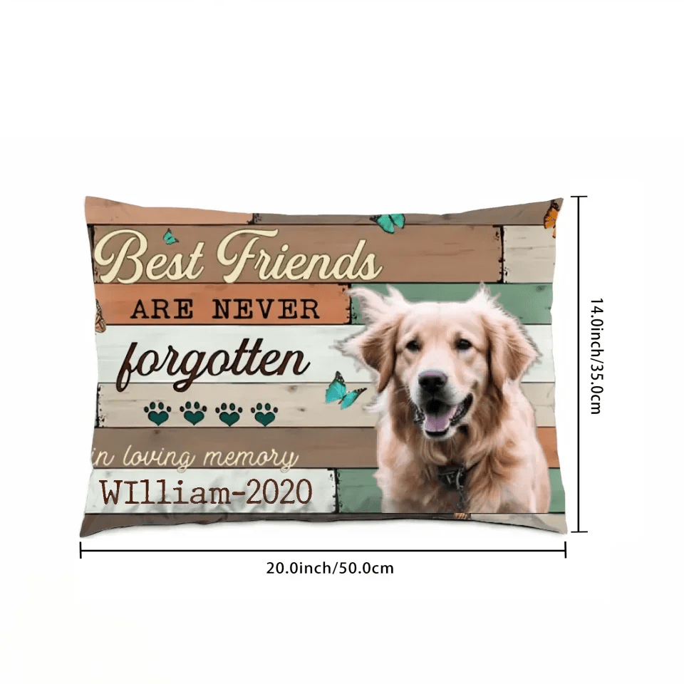 Best Friends Are Never Forgotten Image Upload - Upload Image, Personalized Pillow 711224 - B - DiyGiftly