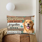 Best Friends Are Never Forgotten Image Upload - Upload Image, Personalized Pillow 711224 - B - DiyGiftly