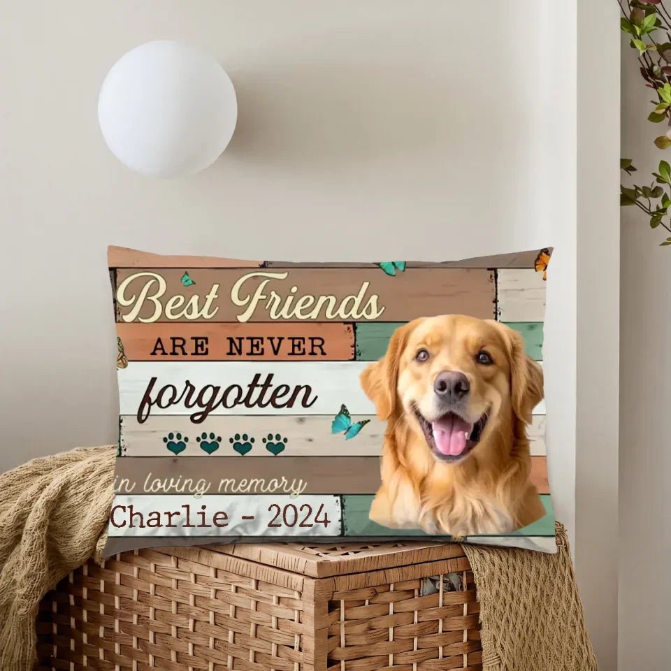 Best Friends Are Never Forgotten Image Upload - Upload Image, Personalized Pillow 711224 - B - DiyGiftly