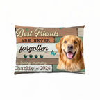 Best Friends Are Never Forgotten Image Upload - Upload Image, Personalized Pillow 711224 - B - DiyGiftly