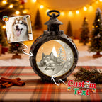 Custom 1 Pet Photo into Cartoon Style Ornament – Personalized Pet Name Christmas Gift for Pet Lovers - DiyGiftly