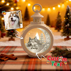 Custom 1 Pet Photo into Cartoon Style Ornament – Personalized Pet Name Christmas Gift for Pet Lovers - DiyGiftly