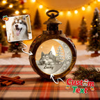 Custom 1 Pet Photo into Cartoon Style Ornament – Personalized Pet Name Christmas Gift for Pet Lovers - DiyGiftly