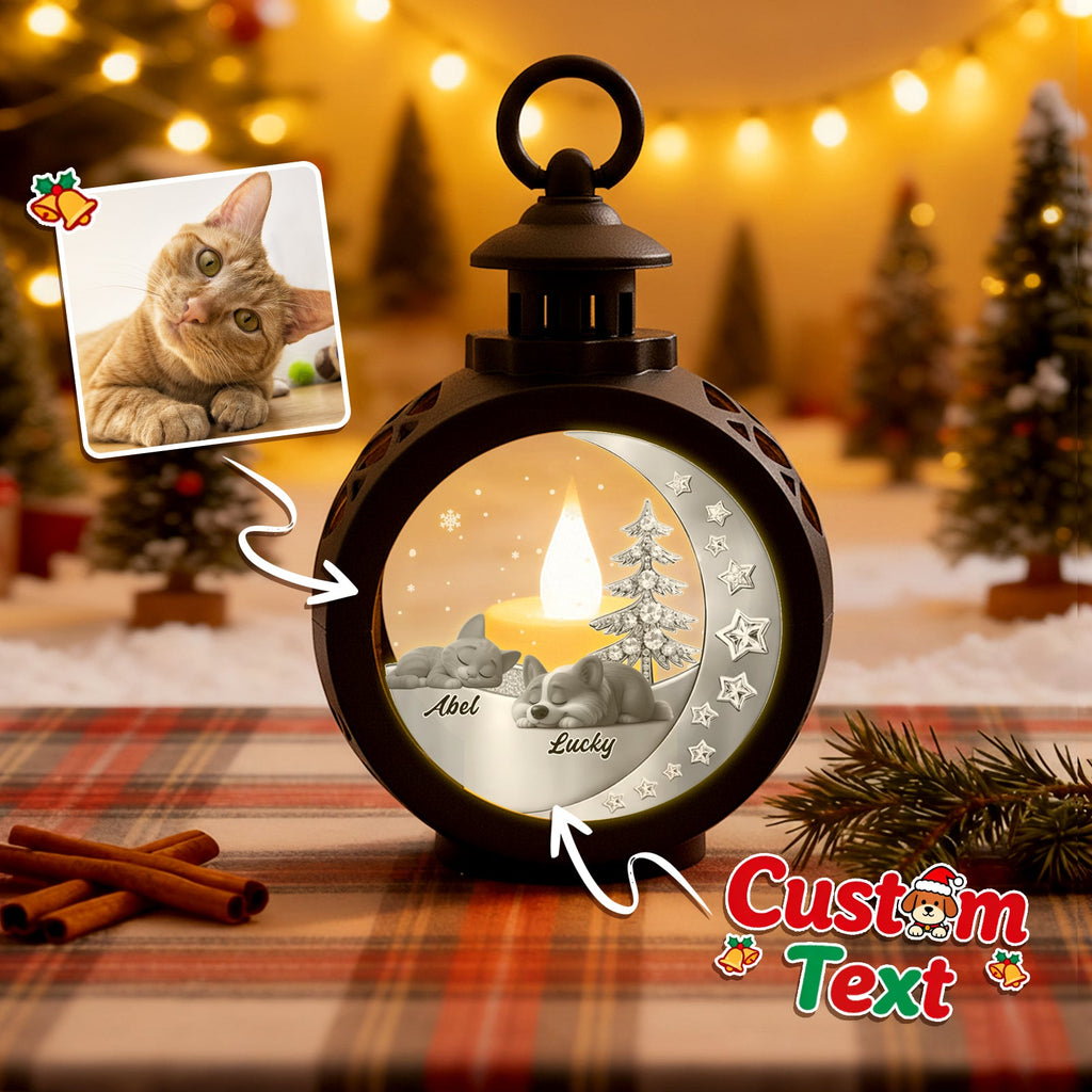 Custom 2 Pets Photo into Cartoon Style Ornament – Personalized Pet Name Christmas Gift for Pet Lovers - DiyGiftly
